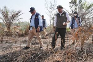 Menteri Kehutanan Raja Juli Antoni