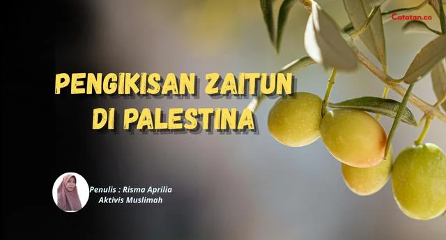Pengikisan Zaitun di Palestina