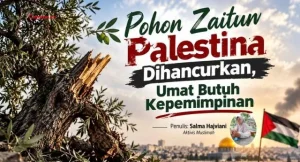 Pohon Zaitun Palestina Dihancurkan, Umat Butuh Kepemimpinan